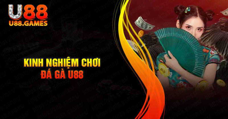 Kinh nghiệm chơi đá gà U88 nhu cao thủ