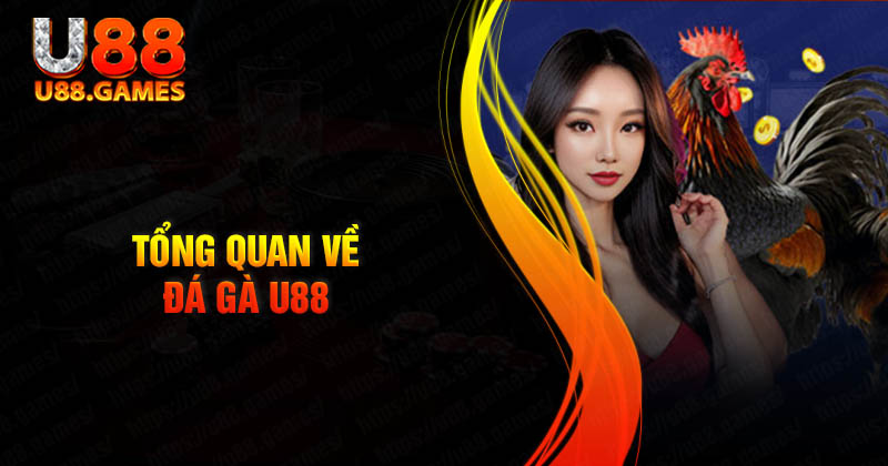 Tổng quan về đá gà U88